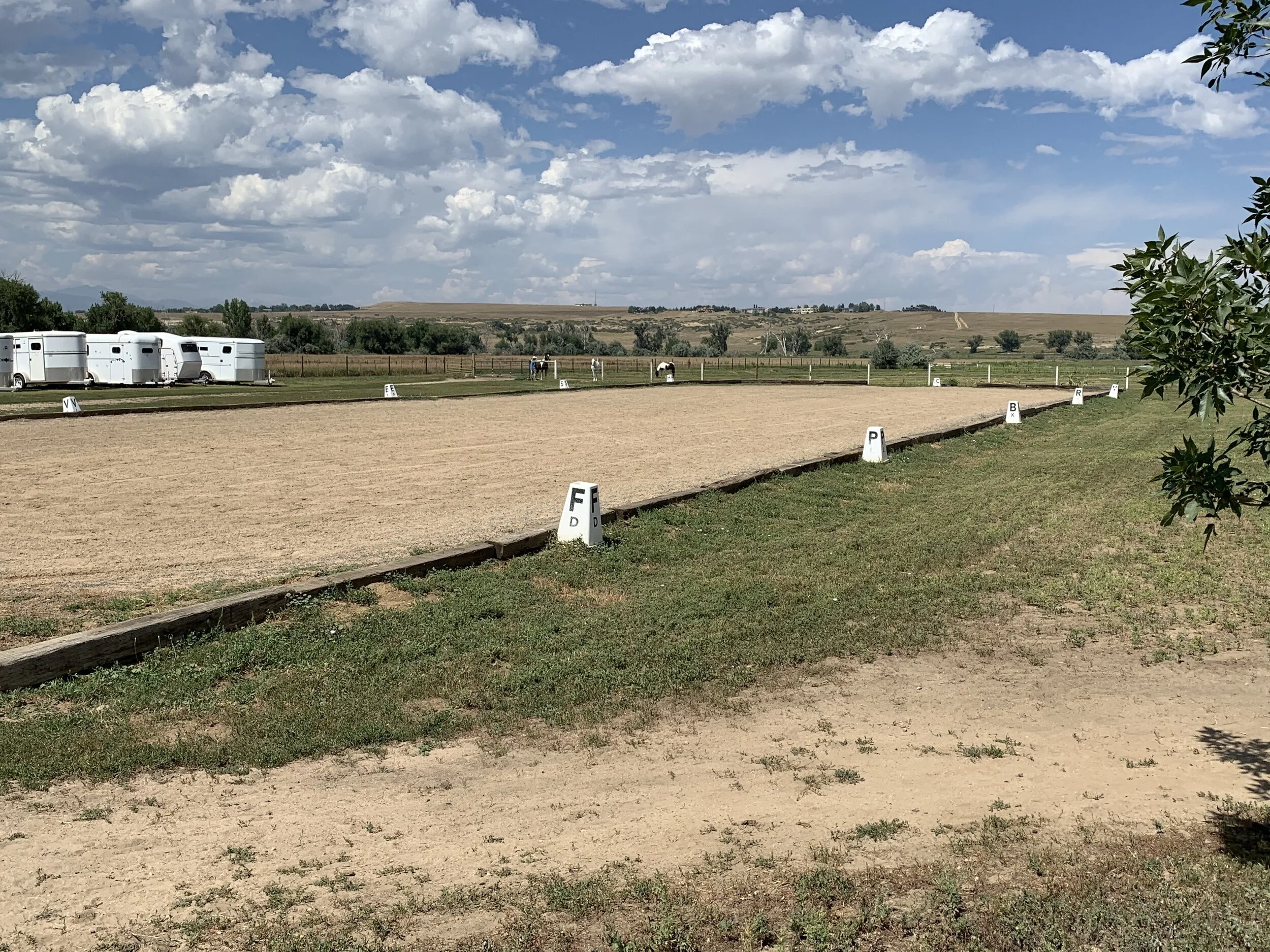 Outdoor dressage.jpg