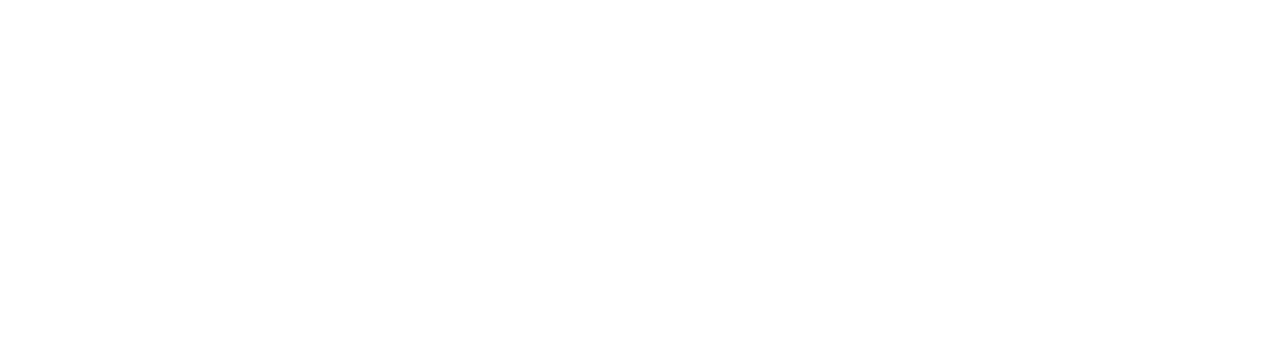 performanceshitwhite - resized.jpg