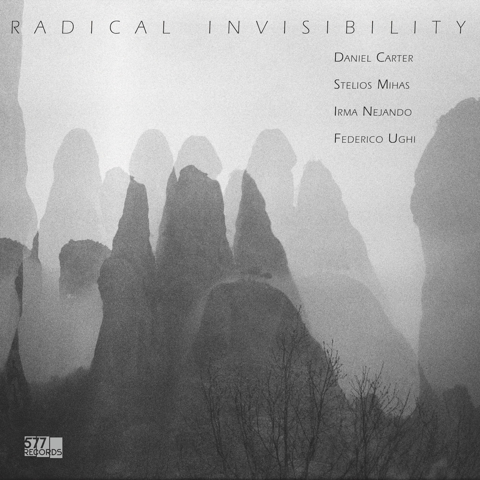 5806 RADICAL INVISIBILITY cover.jpg