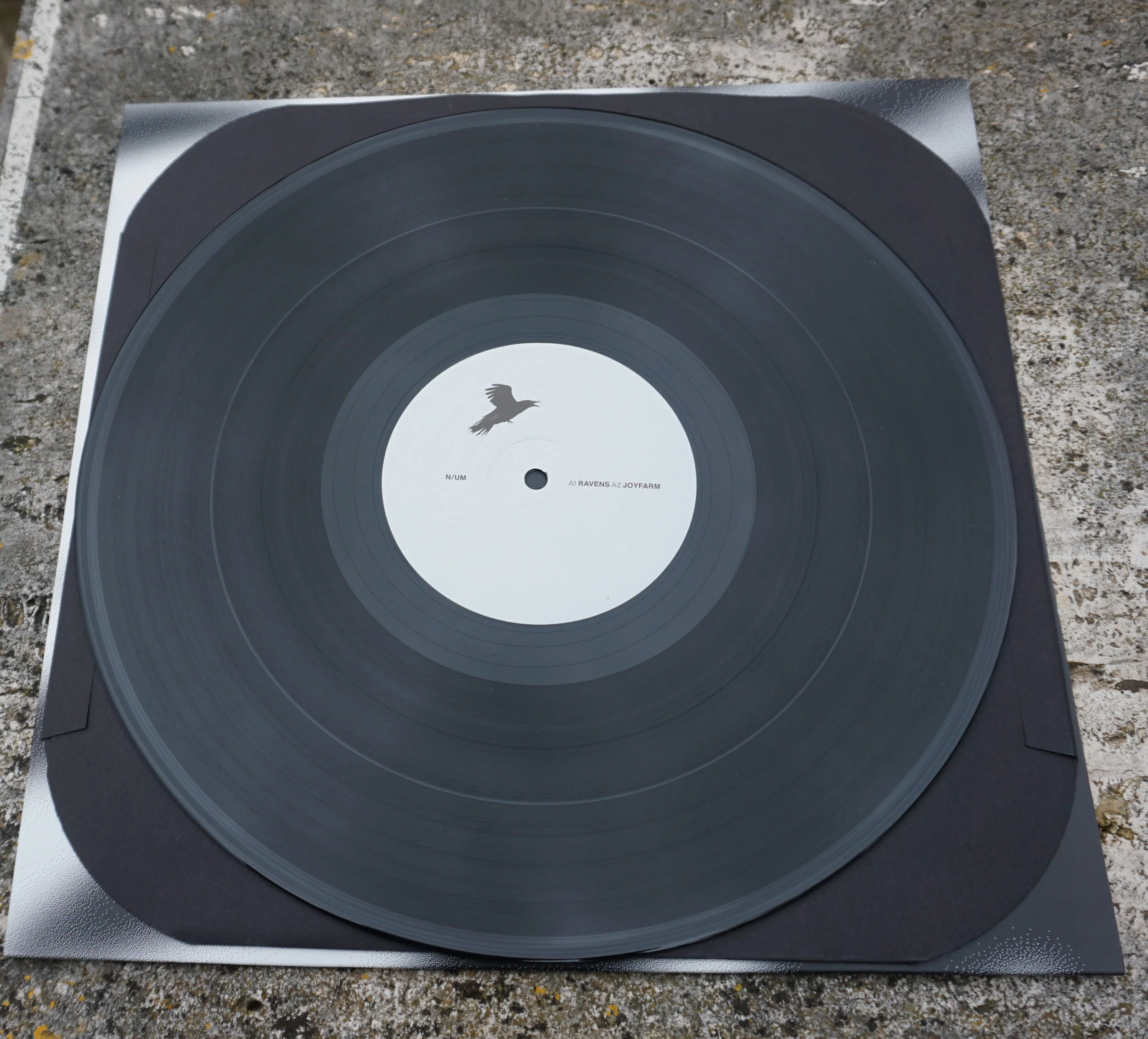N/UM :: Ravens vinyl