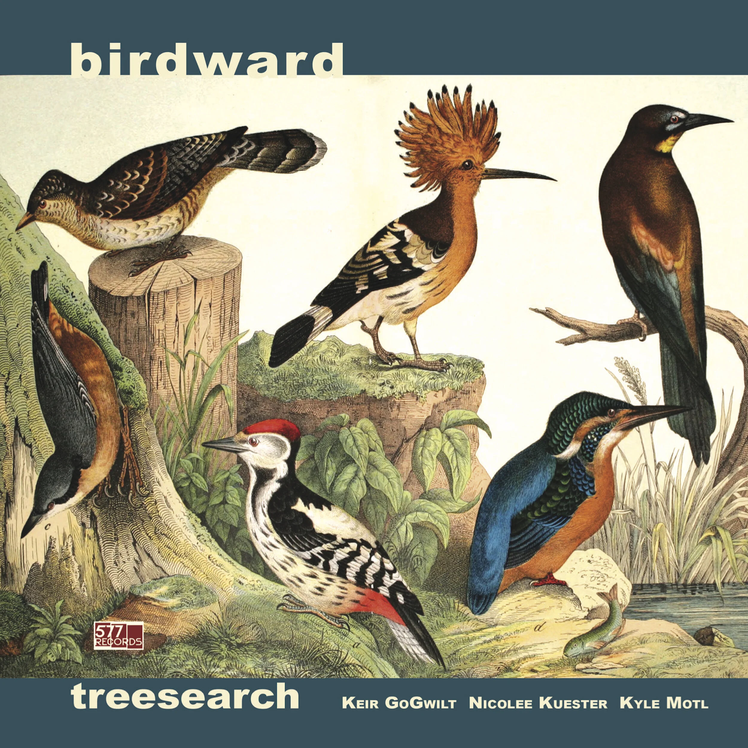 Treesearch :: Birdward