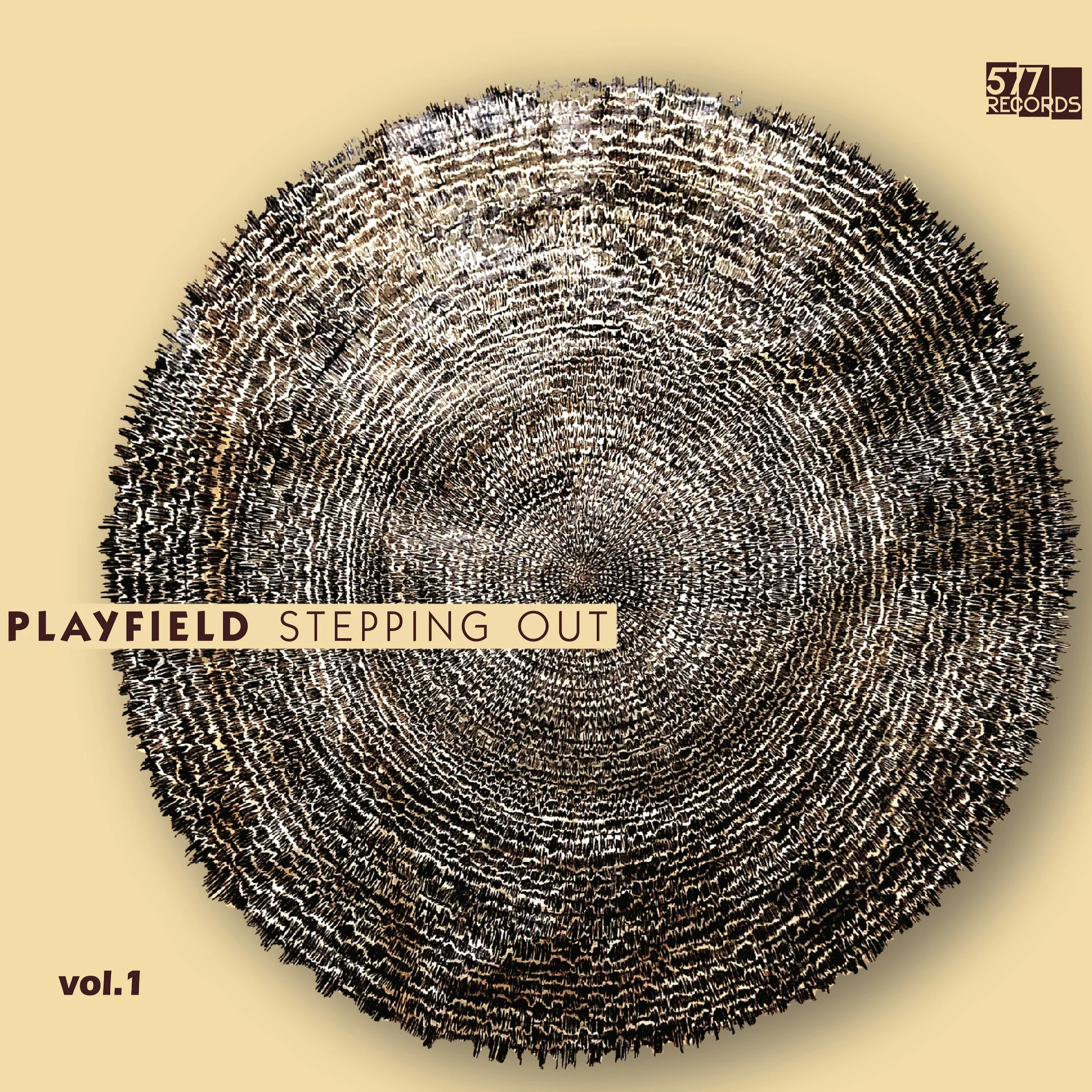 Playfield :: Stepping Out Digipak CD / First pressing