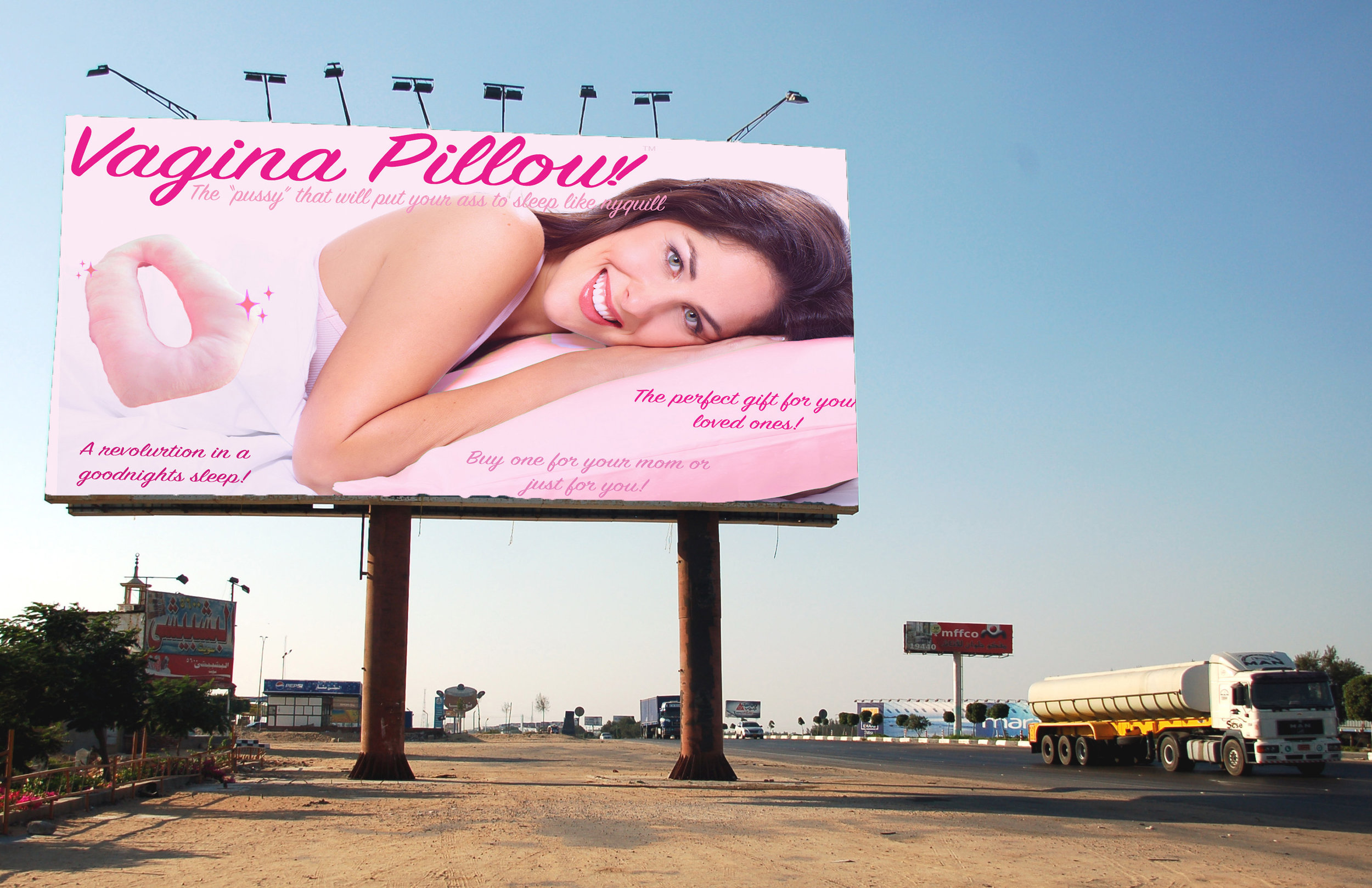 Vagina pillow billboard.jpg