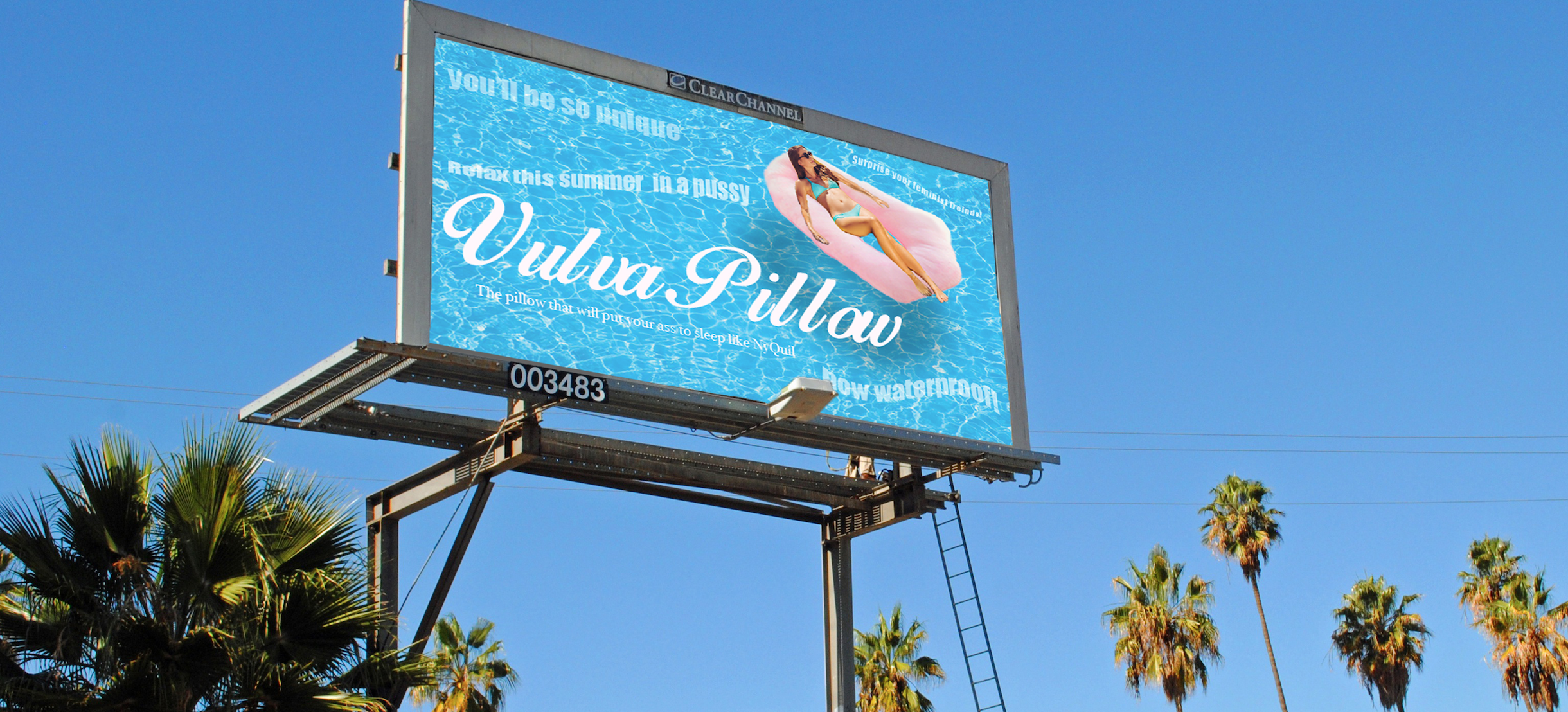 Vulva Pillow .png