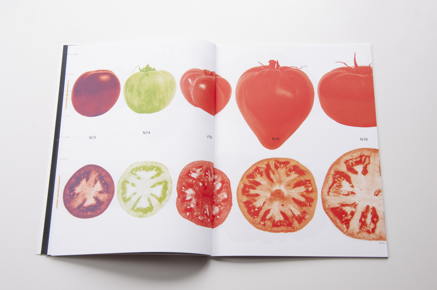 2018_Our-Food-1-Tomato_10.jpg