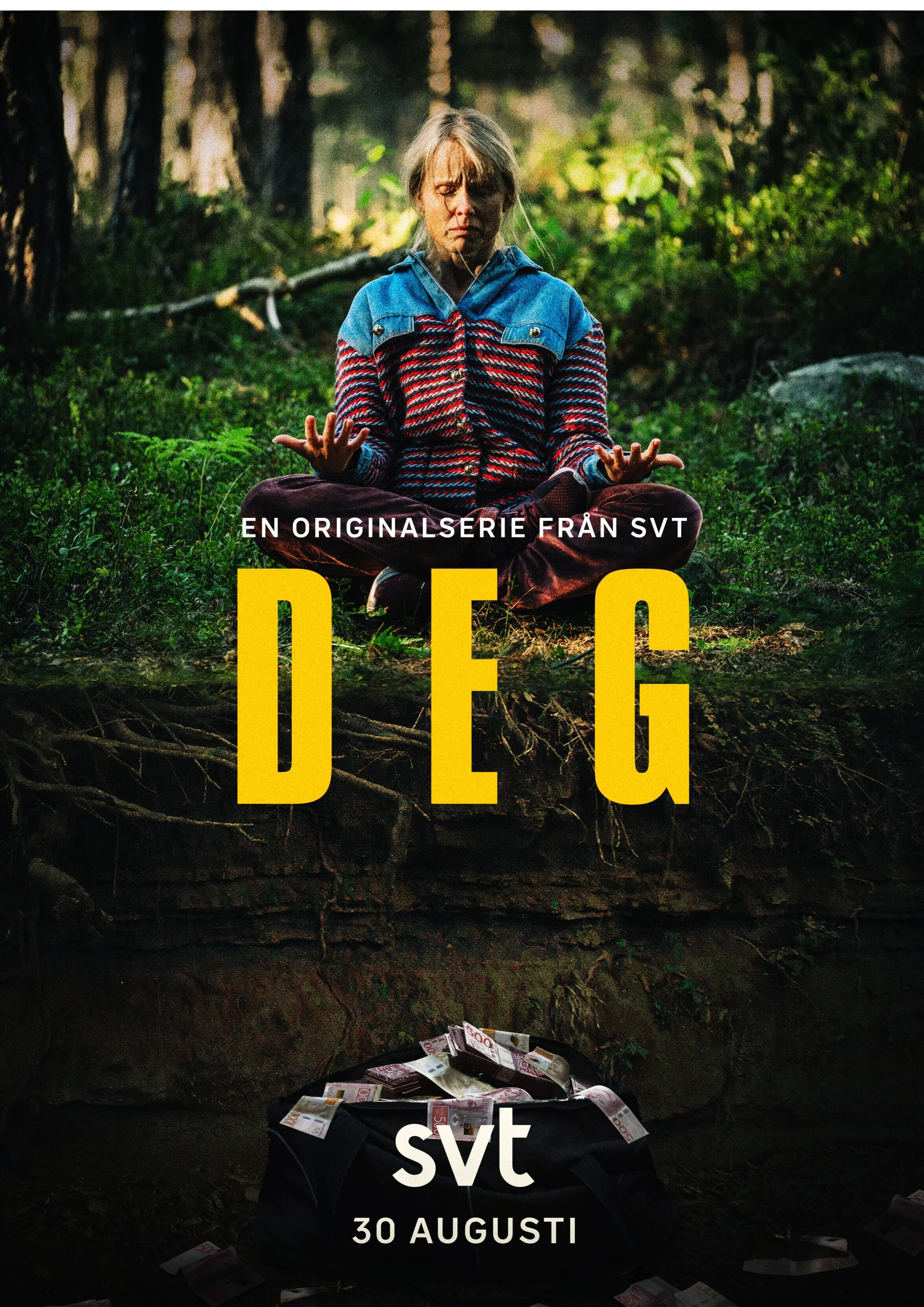 DEGSWE_Poster+-+NO+producers.jpg