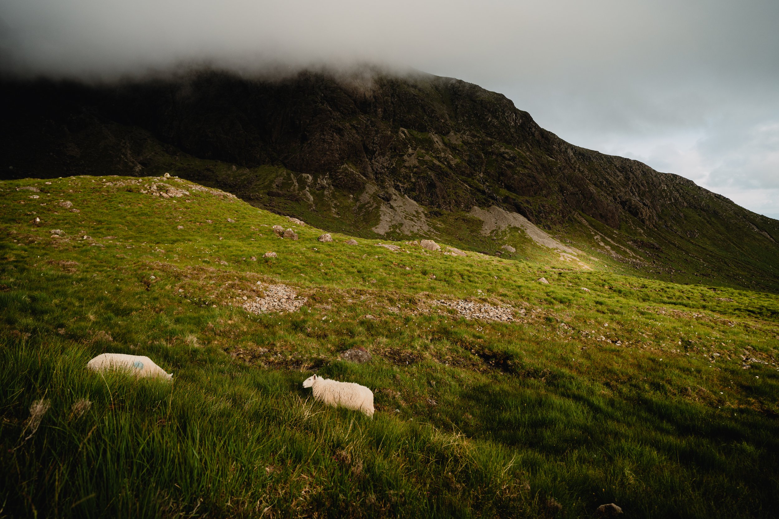 © JHW - 23-06-27 - Isle of Skye, SCOT - Judy Won-08121.jpg