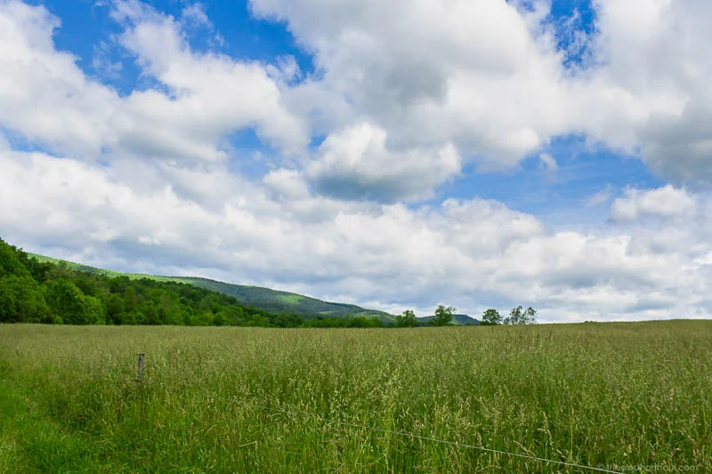 A couple of years ago, we visited Polyface Farms in Virginia. This farm was featured in the award-winning documentary Food Inc. A walk throughout their property was great to clear the mind and to disconnect from technology and connect to the beautiful Virginia landscape.