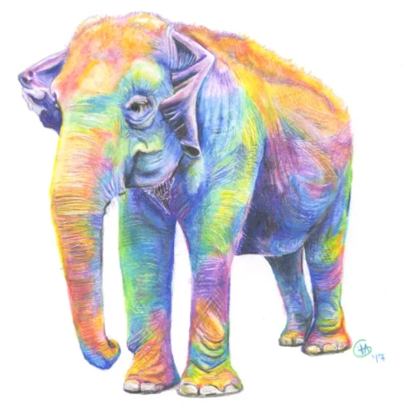 Fine Art Prints - Image © Arte for Elephants