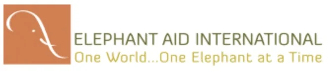 EAI+logo.jpg