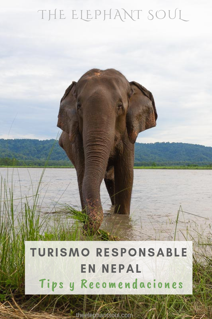 TES Blog - Como ser un Turista Reponsable en Nepal - Tips y Recomendaciones.png