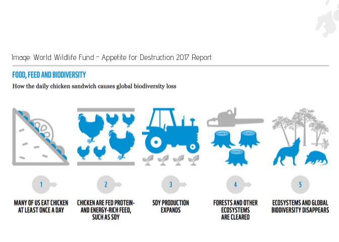 Image_ World Wildlife Fund - Appetite for Destruction 2017 Report.png