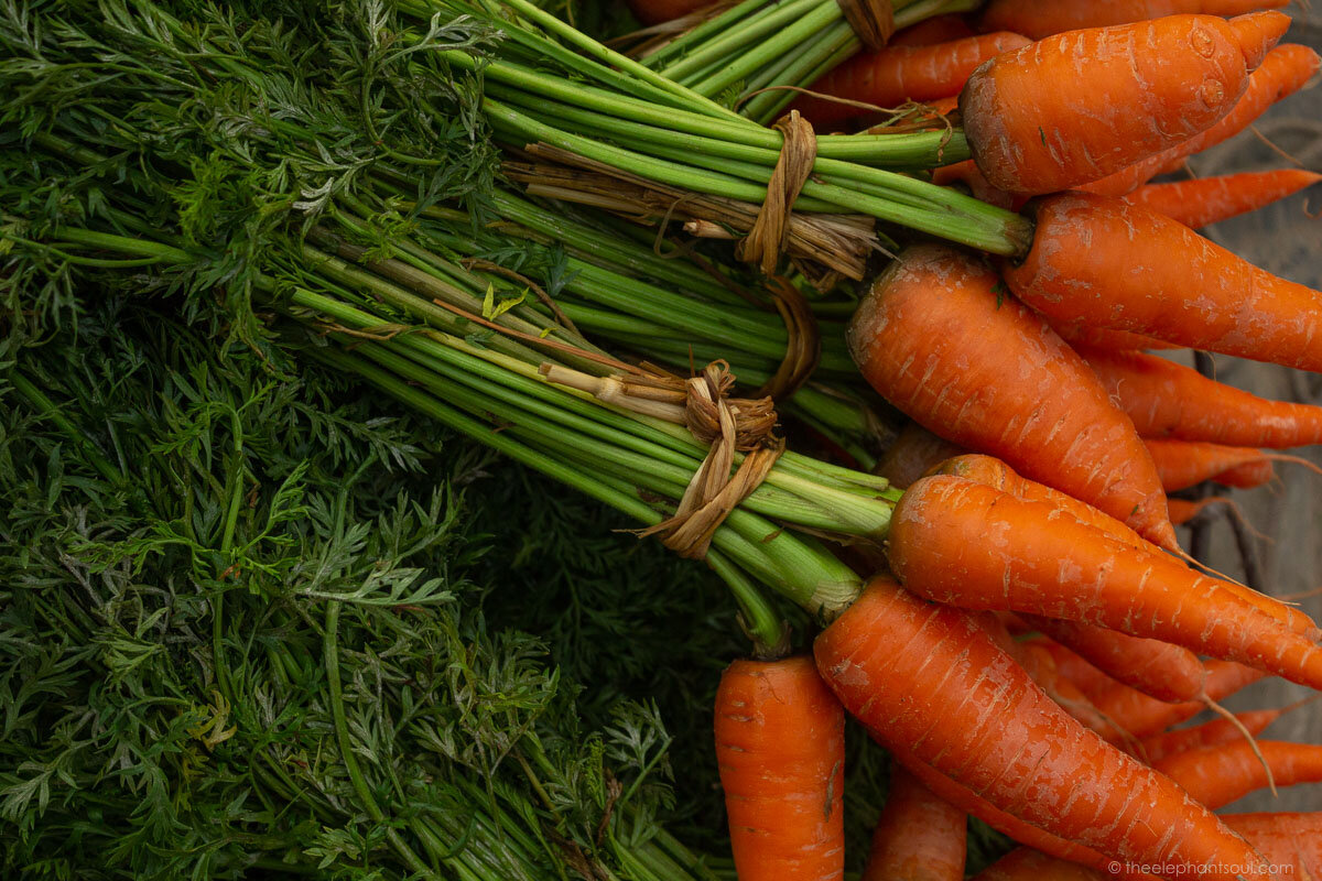 Did you know? According to The Carrot Museum in the UK: "Carrots give you enough energy to walk three miles.". I found these pretty ones close to Patan Durbar Square during one of my morning photowalks in Kathmandu. Image © Diana - The Elephant Soul