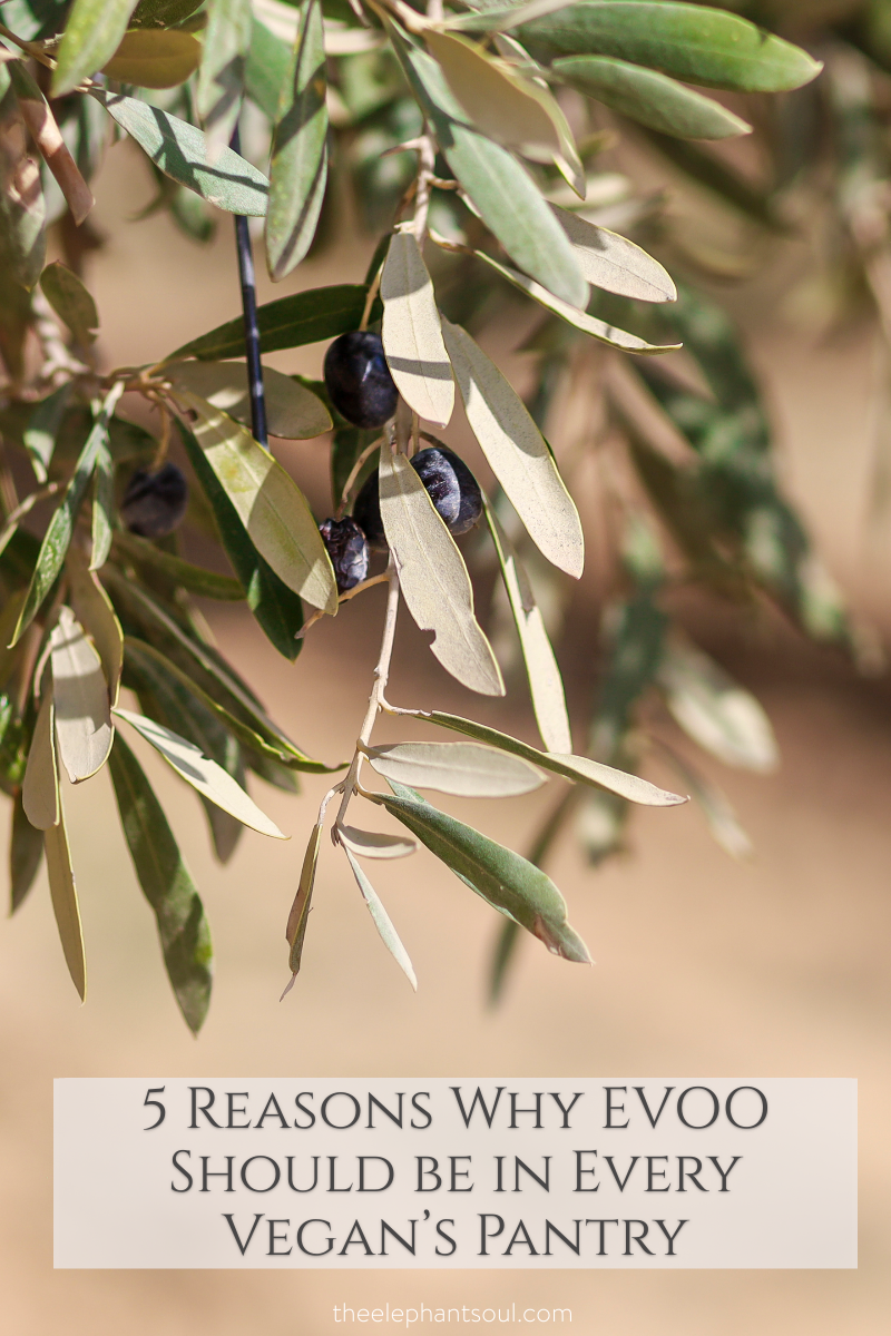 5 Reasons Why EVOO Should be in Every Vegan's Pantry
