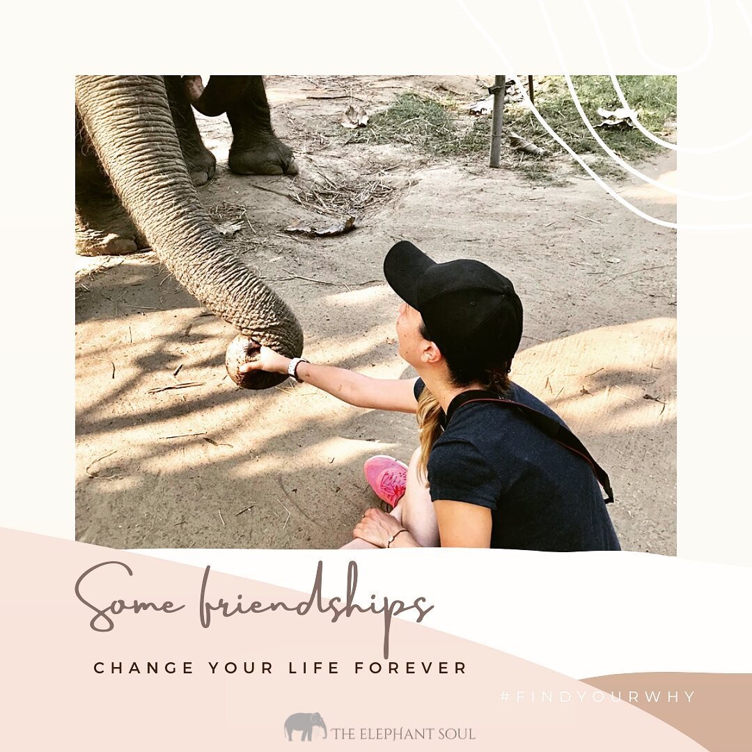 Some friendships change your life forever. A #shotout to these wonderful organizations working every day to make life better for working #elephants! @gentlegiantsstayhome @elephantaidinternational @stae_elephants 
#dogoodbekind ✨🐘🌱