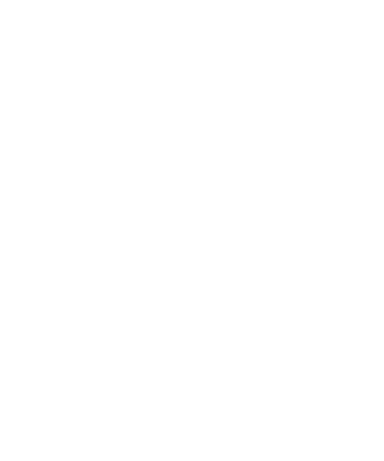 AQL 1.5.png
