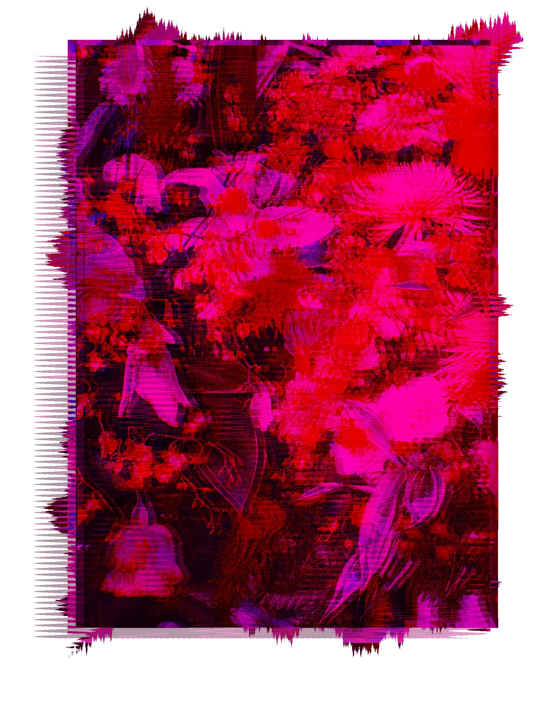 Distorted Floral A_EDITED.jpg