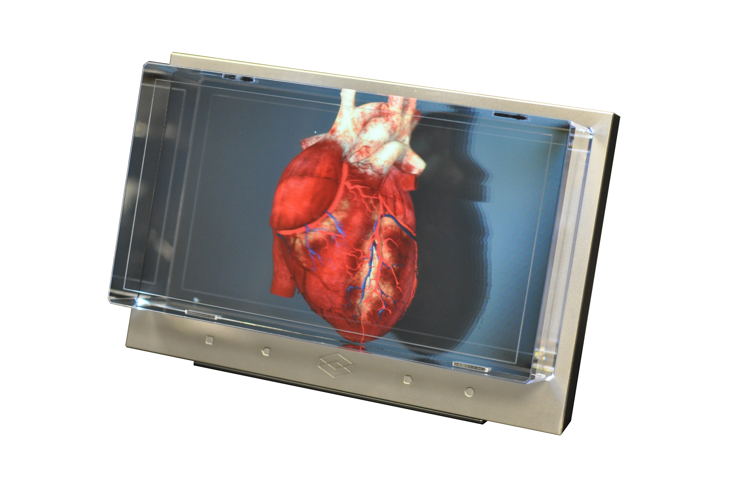 Actual photo of the display showing a 3D model