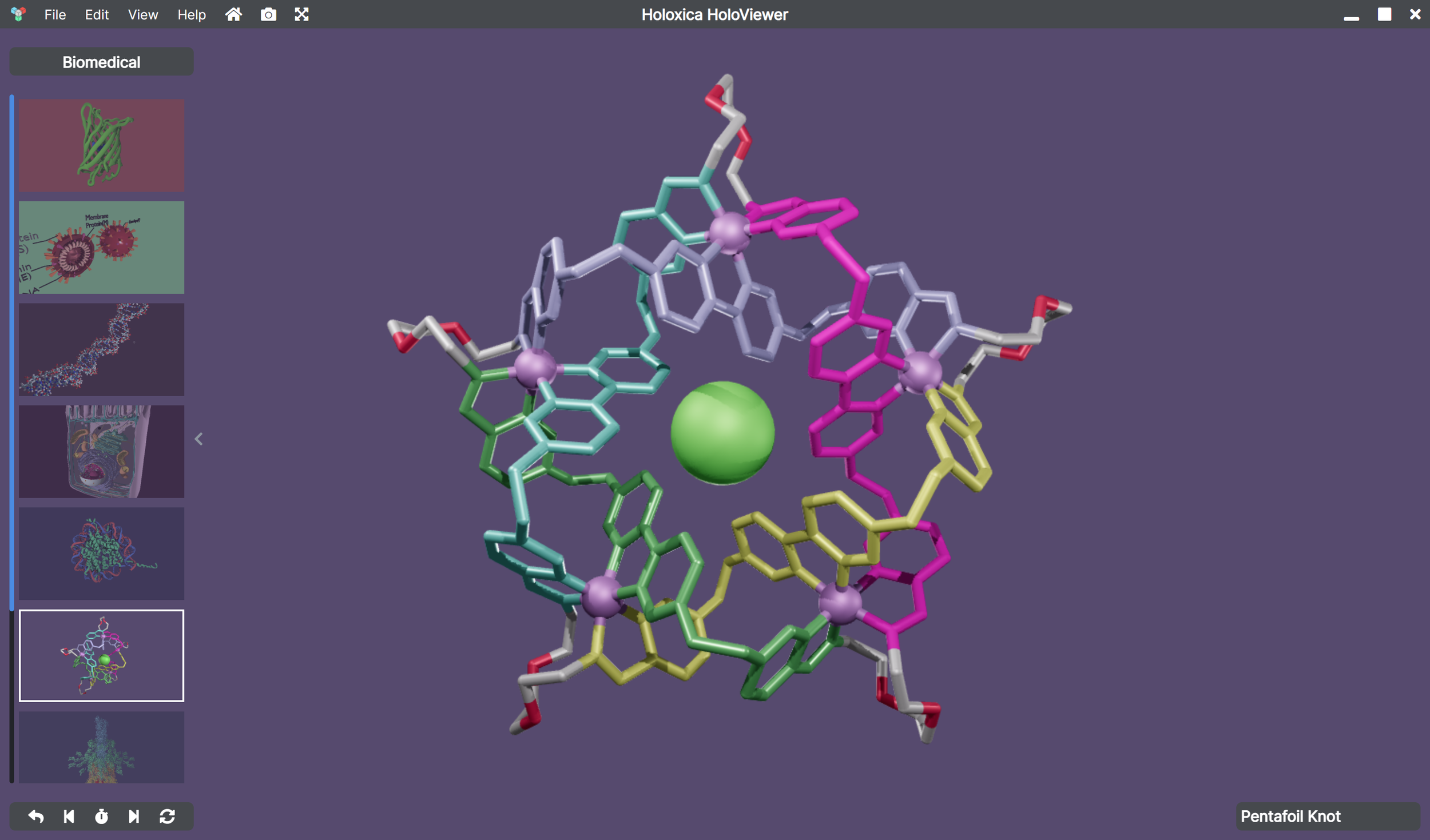 Biomedical Pentafoil Knot (Copy) (Copy) (Copy) (Copy)