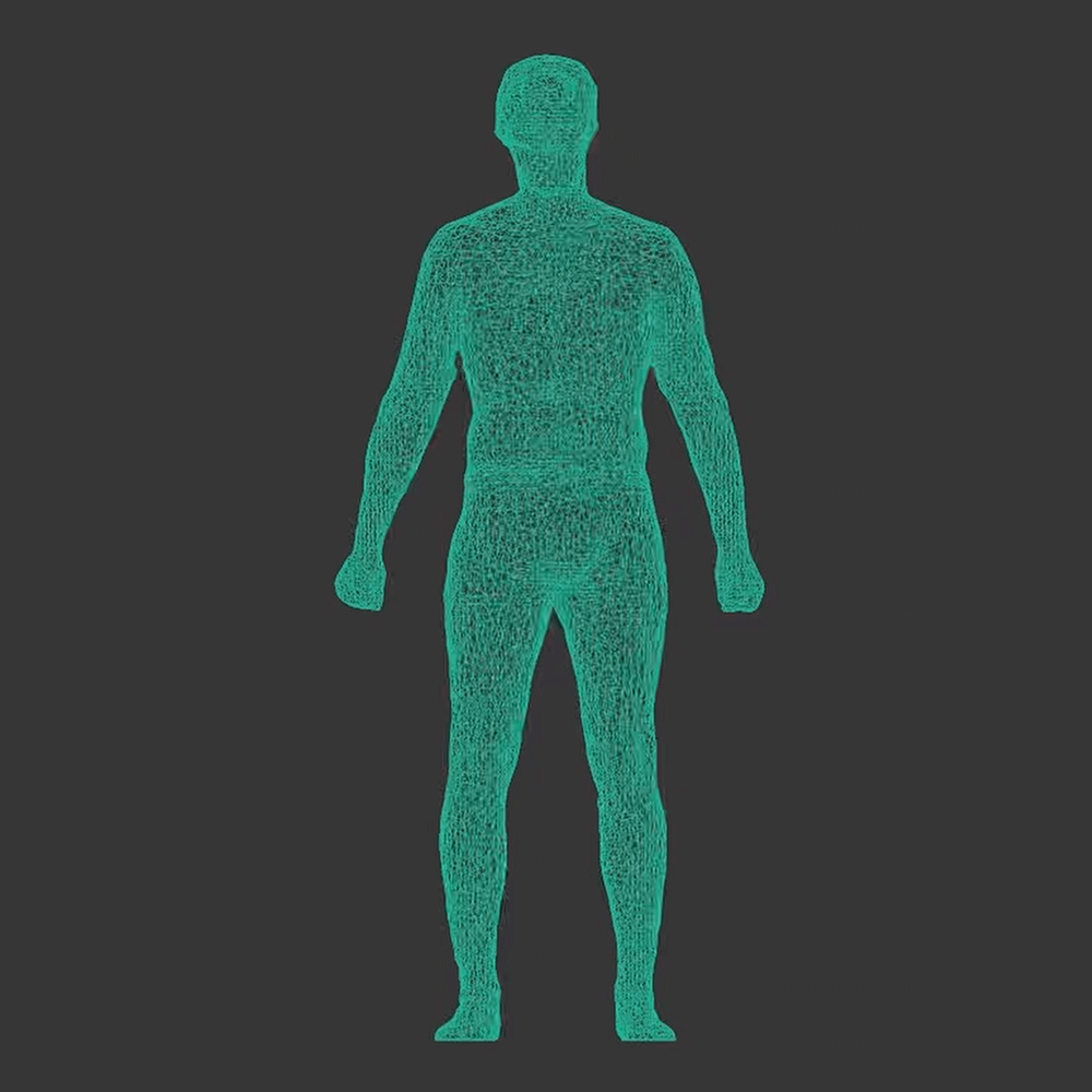 Digitally Twinning a Human