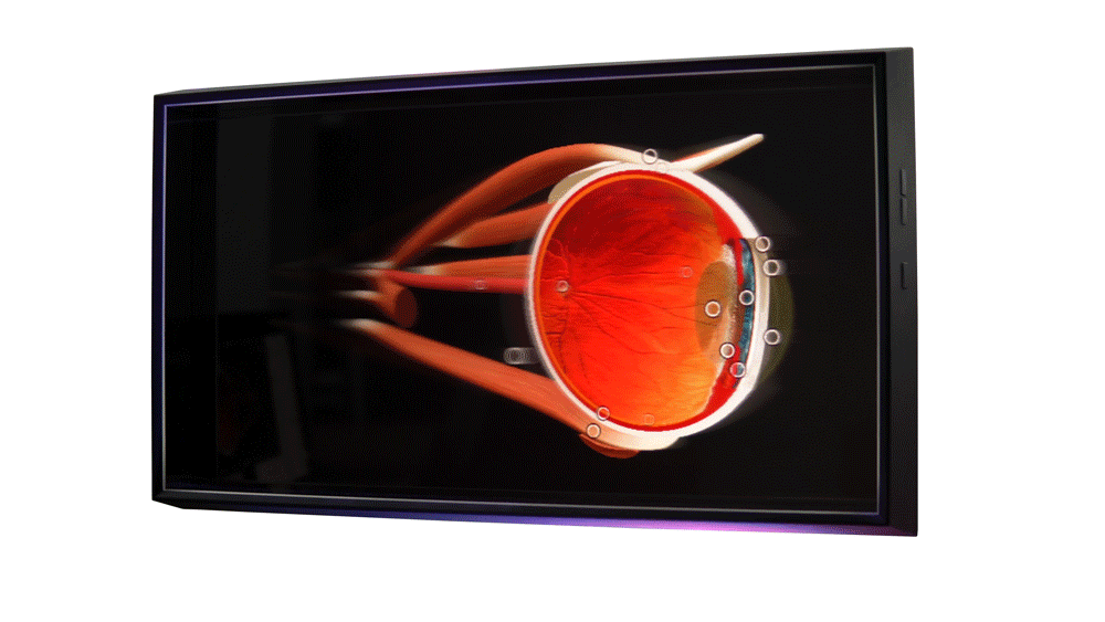 Looking Glass 8K — Holoxica Limited Looking Glass 8K — Holoxica Limited