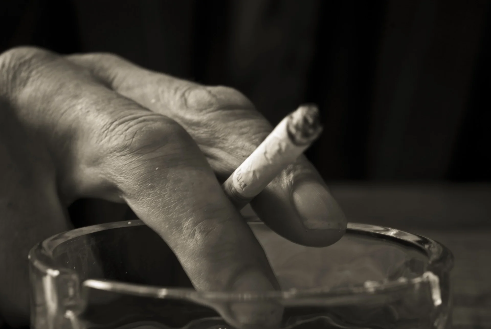 hand-1599944_1920.jpg