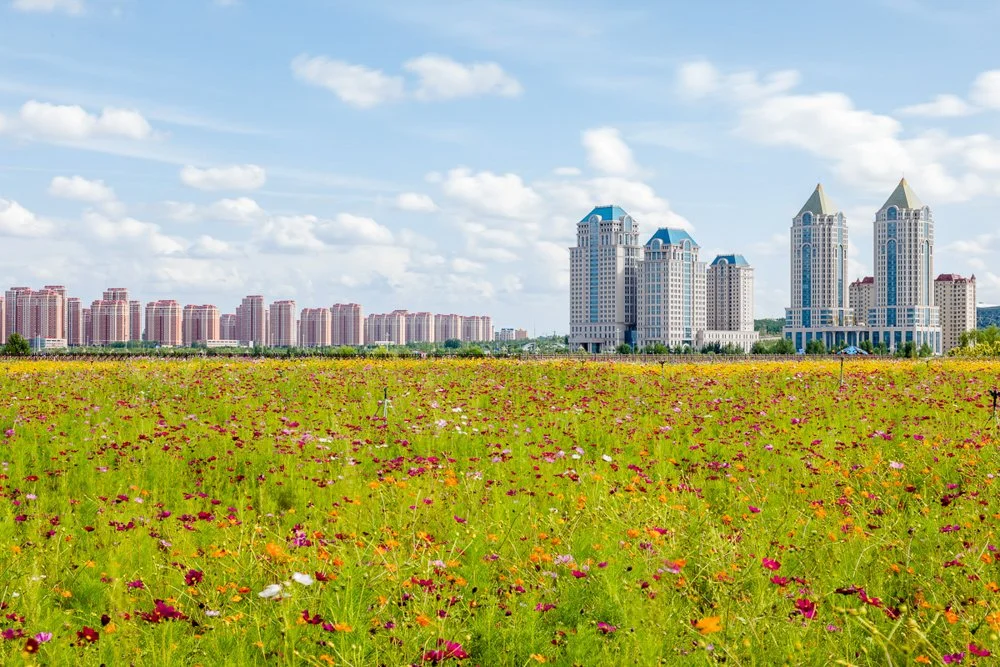 Ozymandias #22 digital print - limited edition