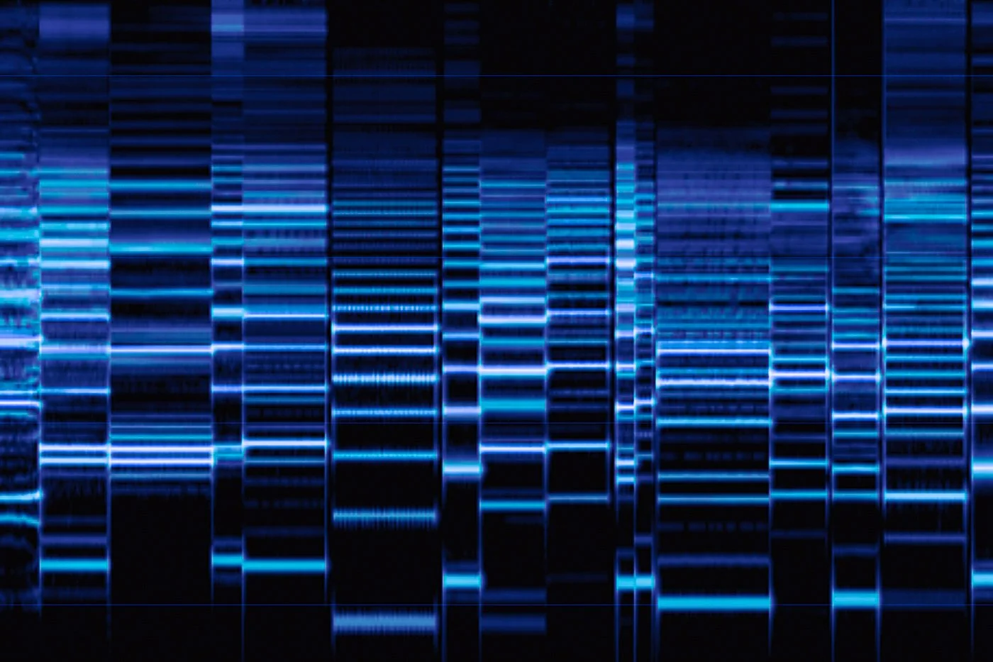 Multiphonics Spektrum.jpg