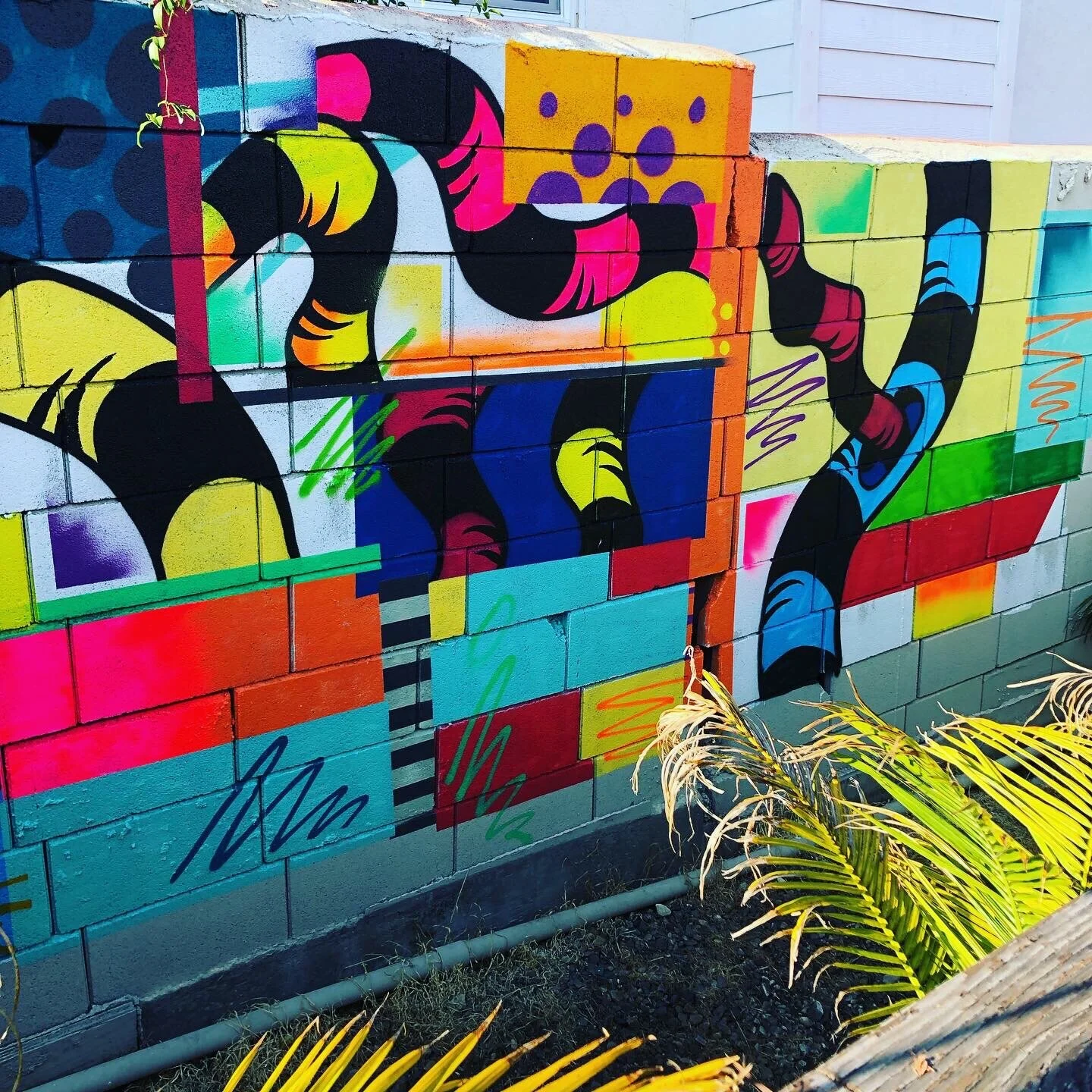 Backyard Wall in Dana Point, California