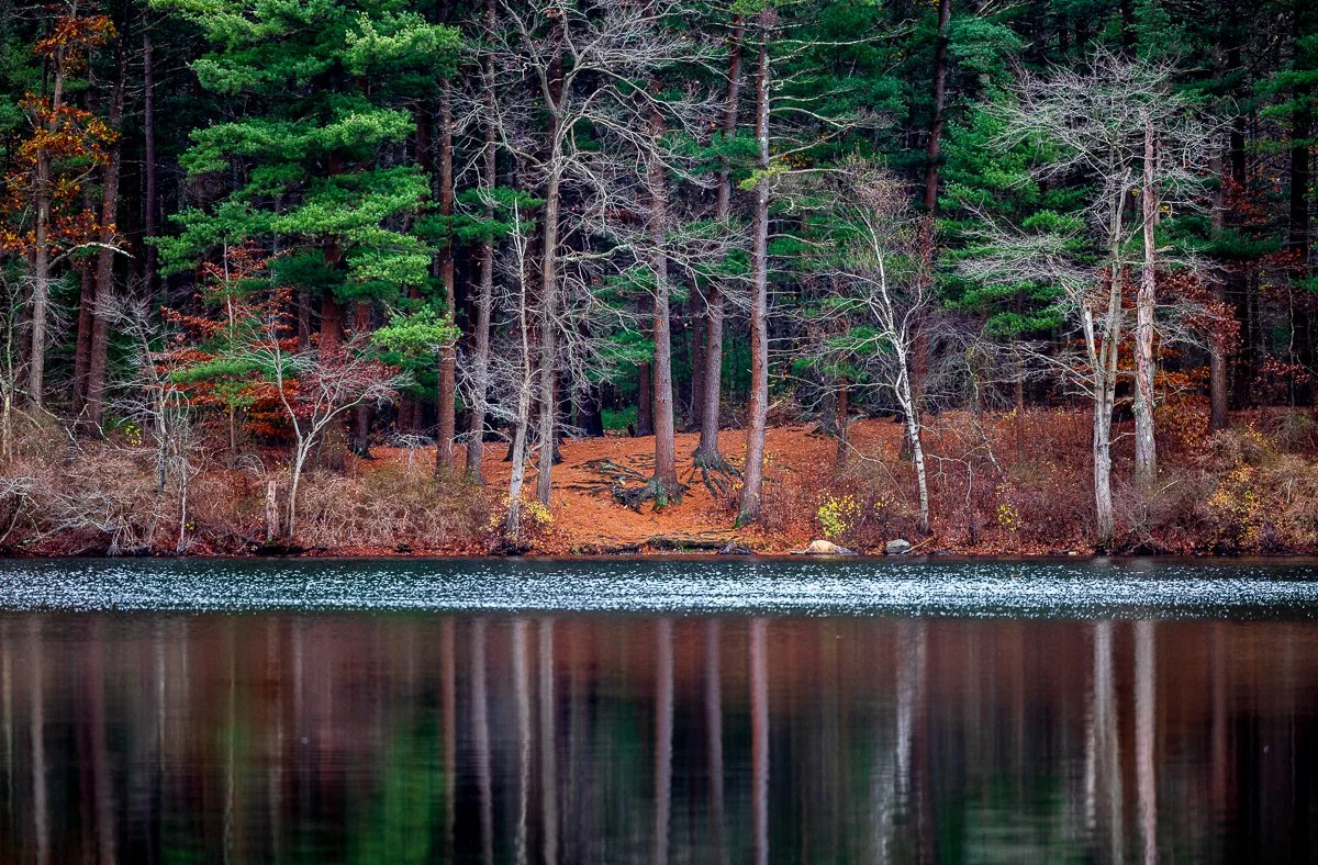 Houghton Pond - Milton MA