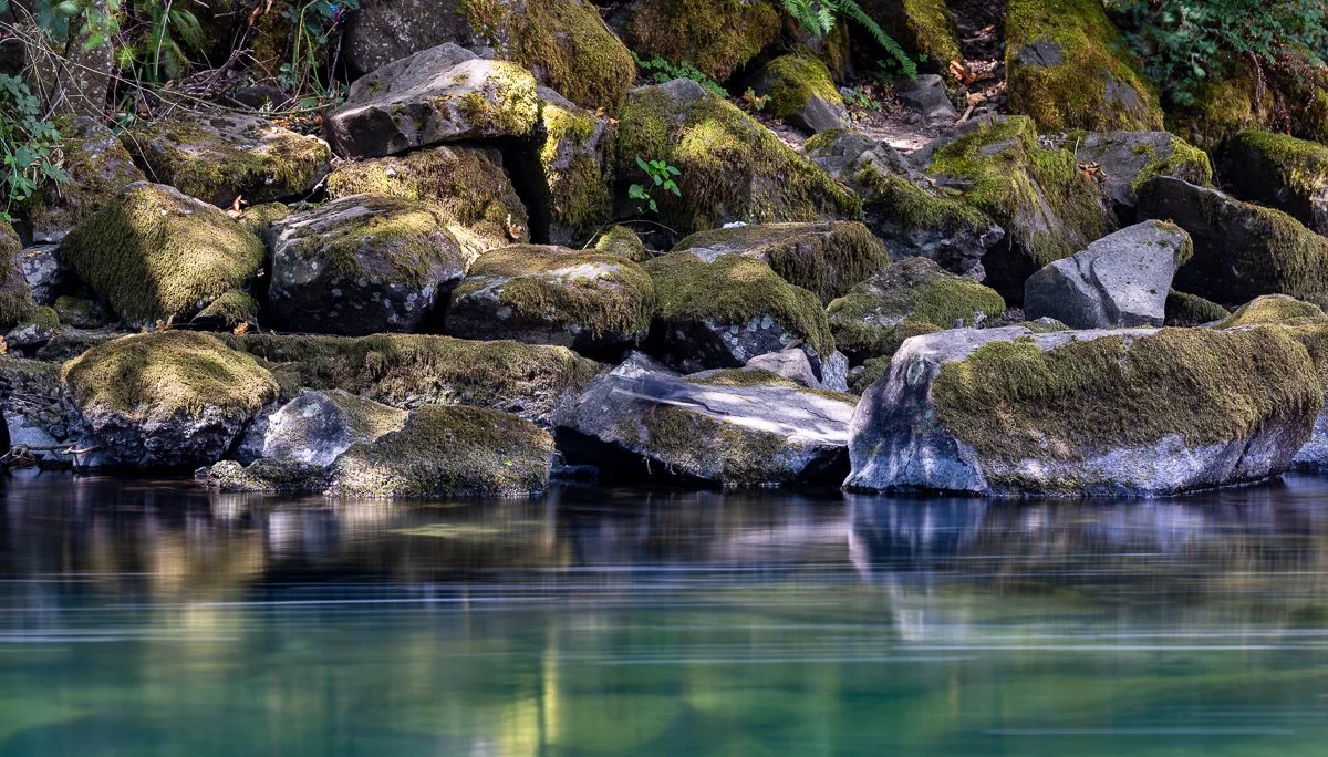 Stream near Snolquamie Pass WA