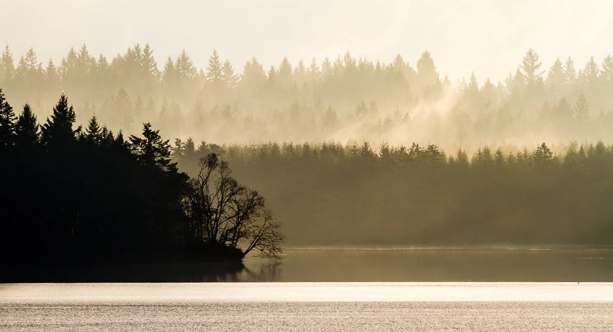 Shelton WA
