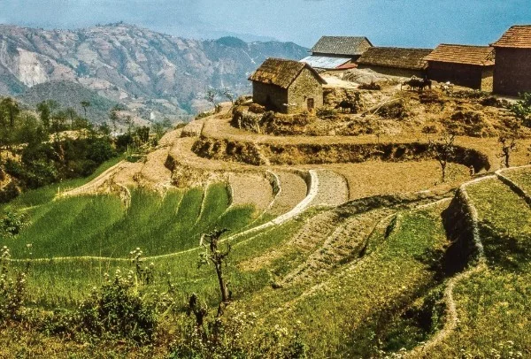 SH Photo2.jpg