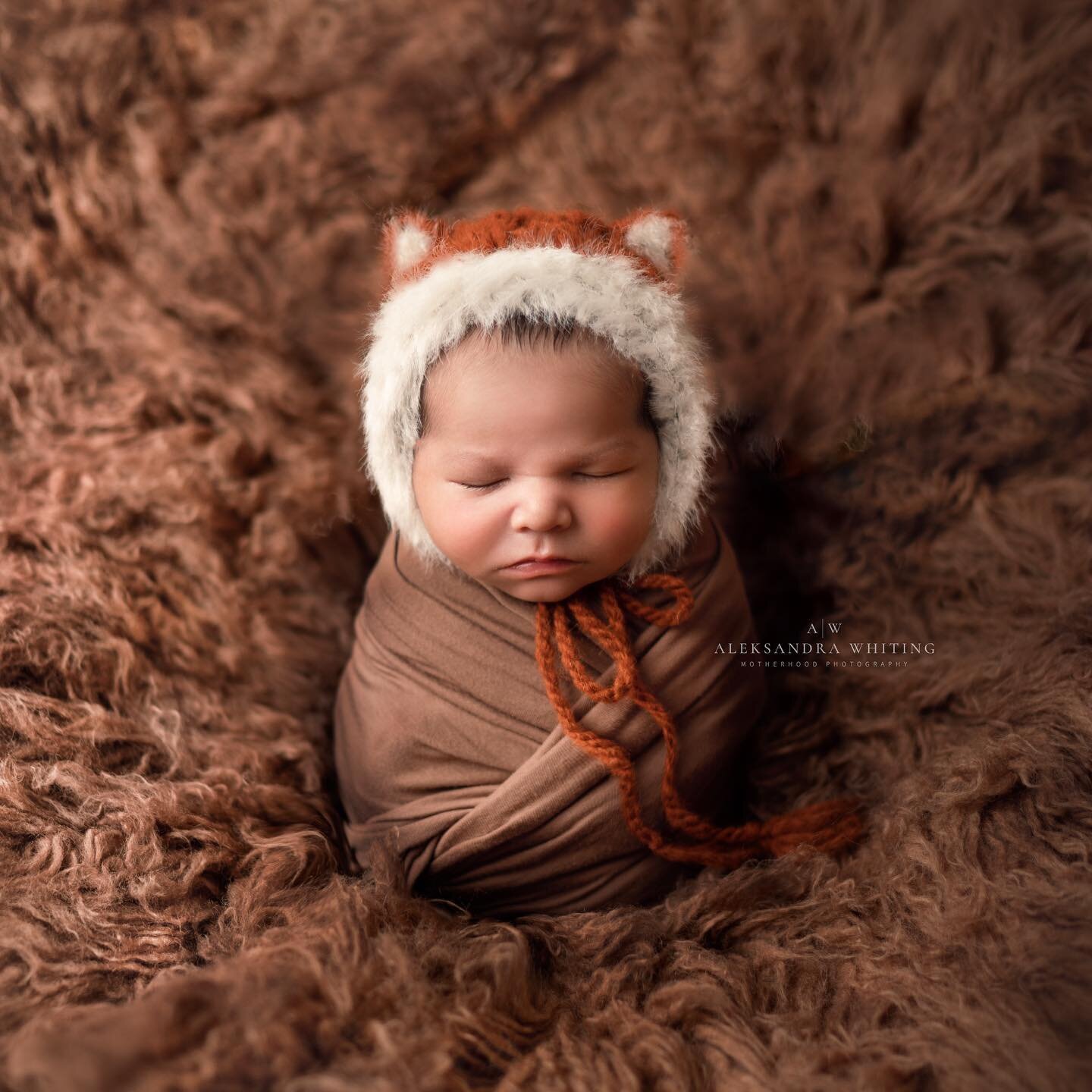 As of September 22nd we are in fall and October is TOMORROW! I have no shame with sharing this autumn inspired little foxy Josiah. 🦊🍂🍁On a side note, I will be having a full edit day today so my proofing galleries will be going out first then I&rs