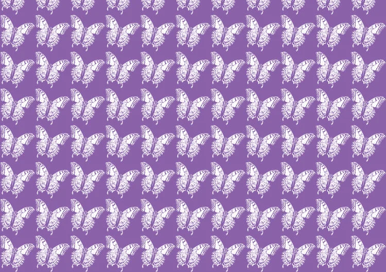 The-Butterfly-House-Pattern.jpg