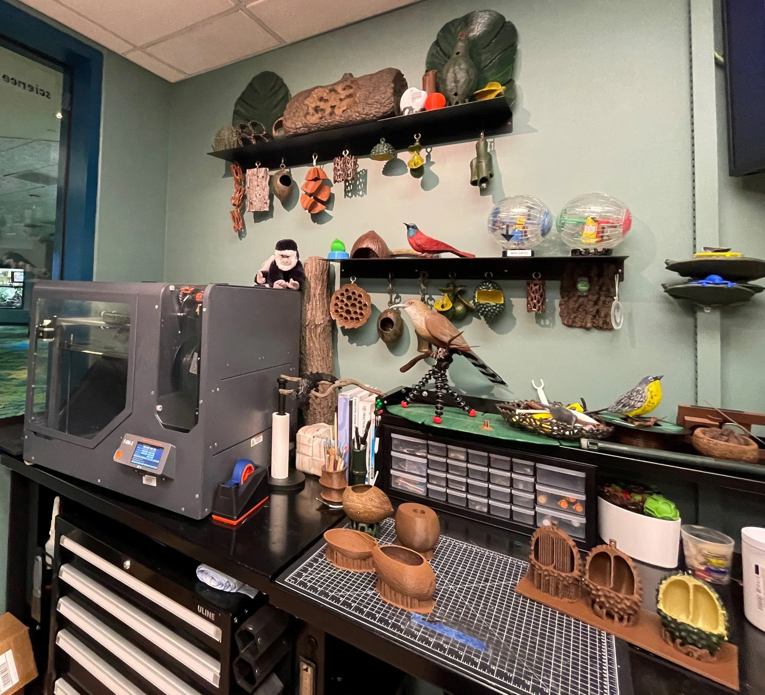 Technology and Enrichment — Animal Enrichment