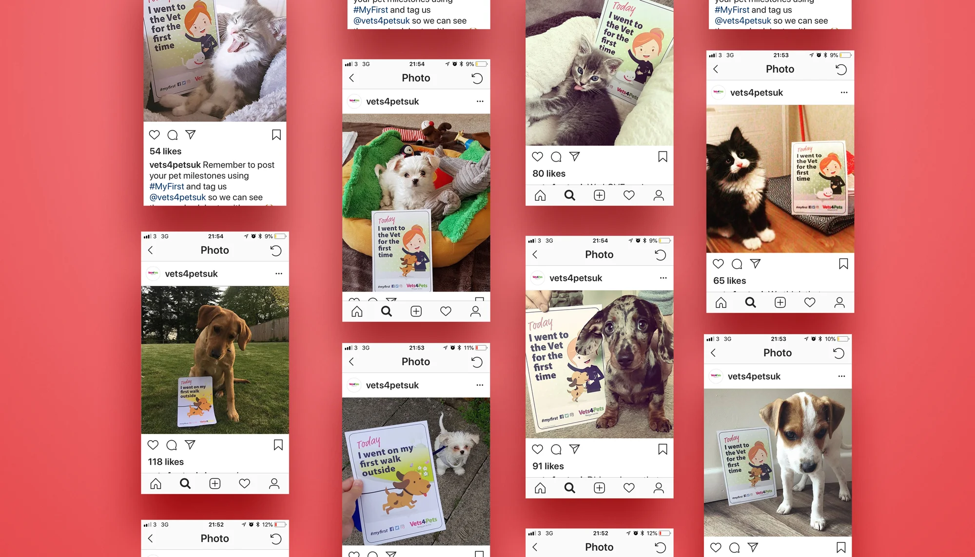  To further increase chances of tagging, we introduced a monthly community competition where owners had to enter by posting photos of their pet with Vets4Pets milestone cards, which were offered exclusively with the Best Start in Life health plan. Th