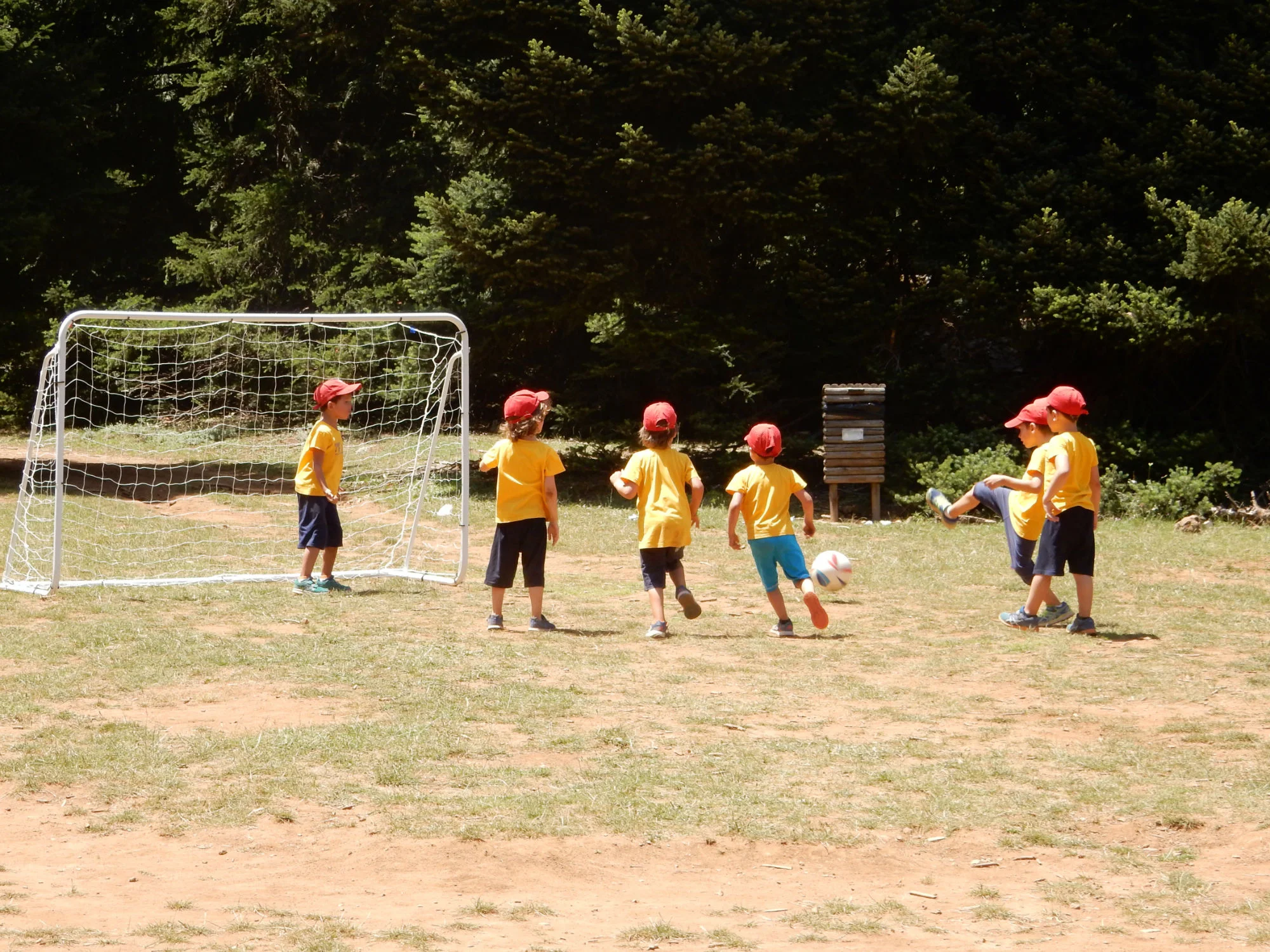 DSCN2856.jpg