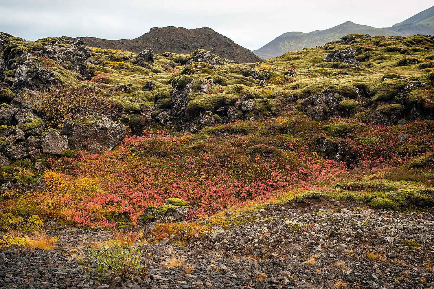 iceland23.jpg