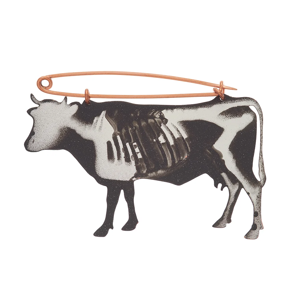 Broach_Cow_Xray.jpg