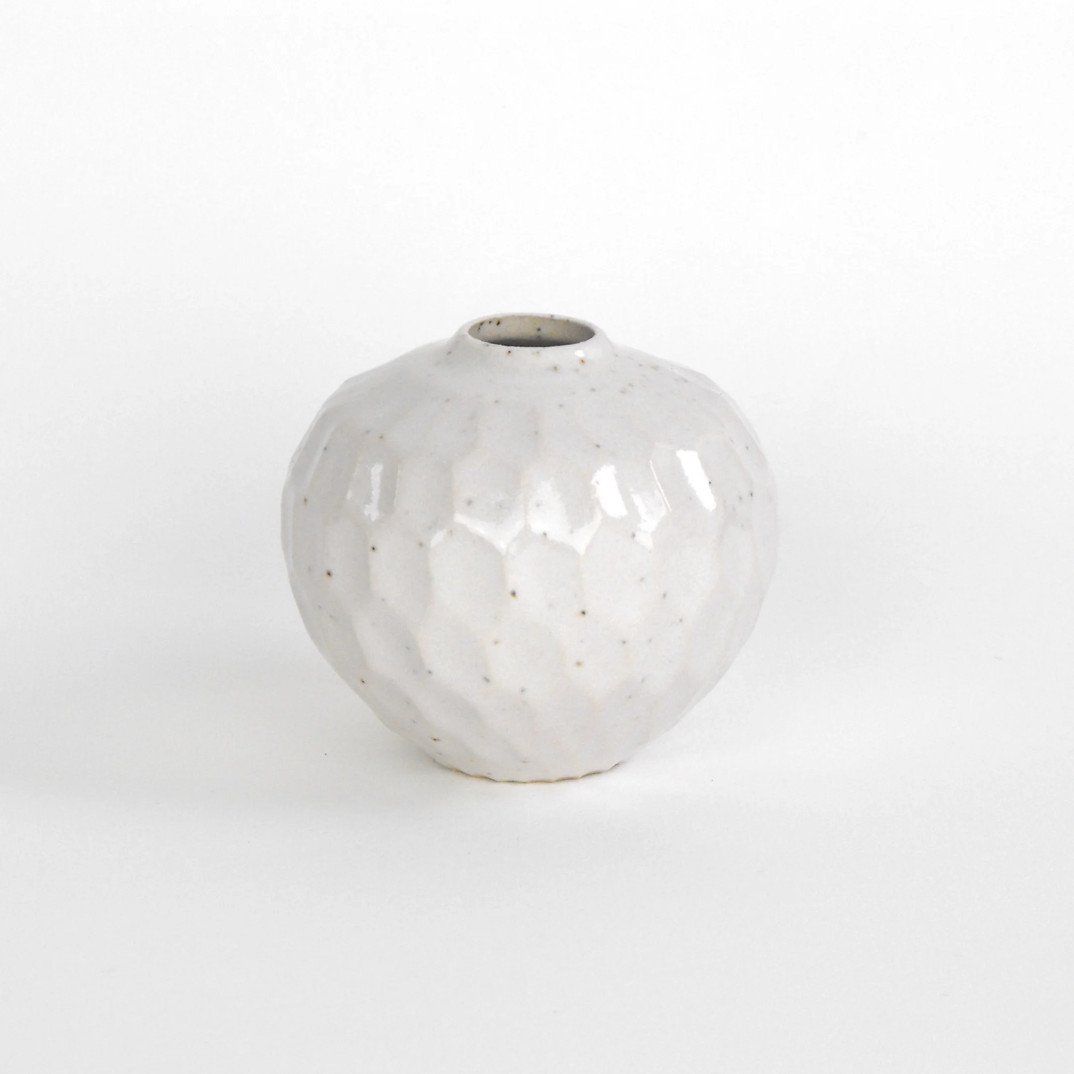 DSCF5006.jpg