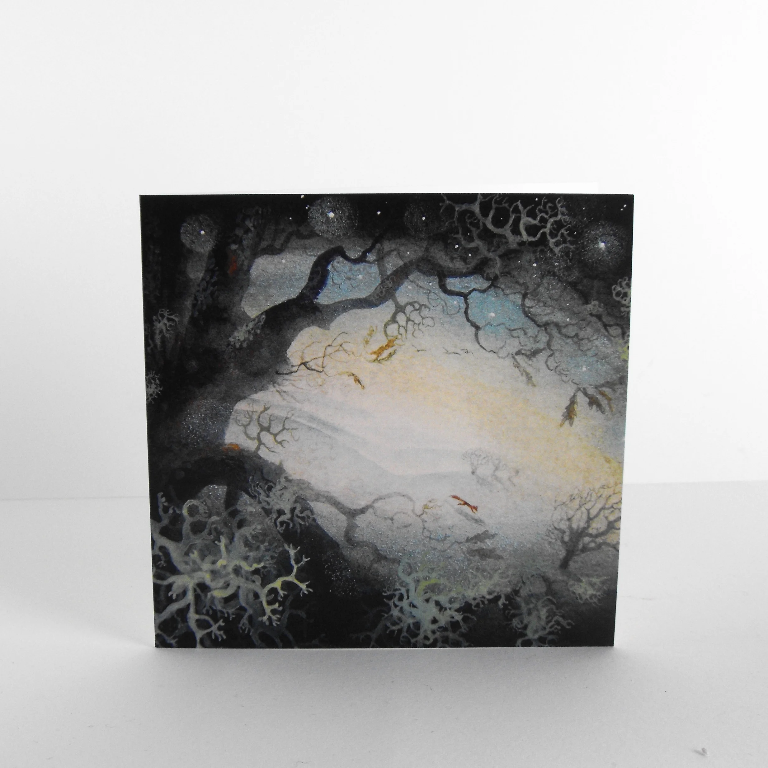 DSCF5108.jpg