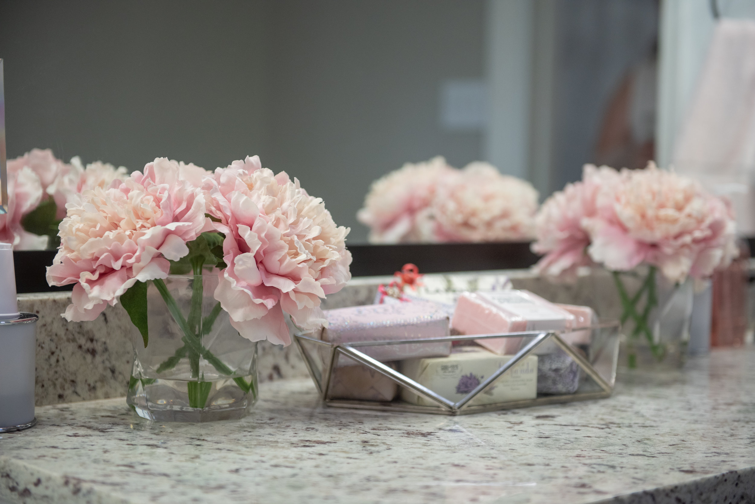 Legacy Saddle Breds - Yasmin Leonard Photography-21.jpg