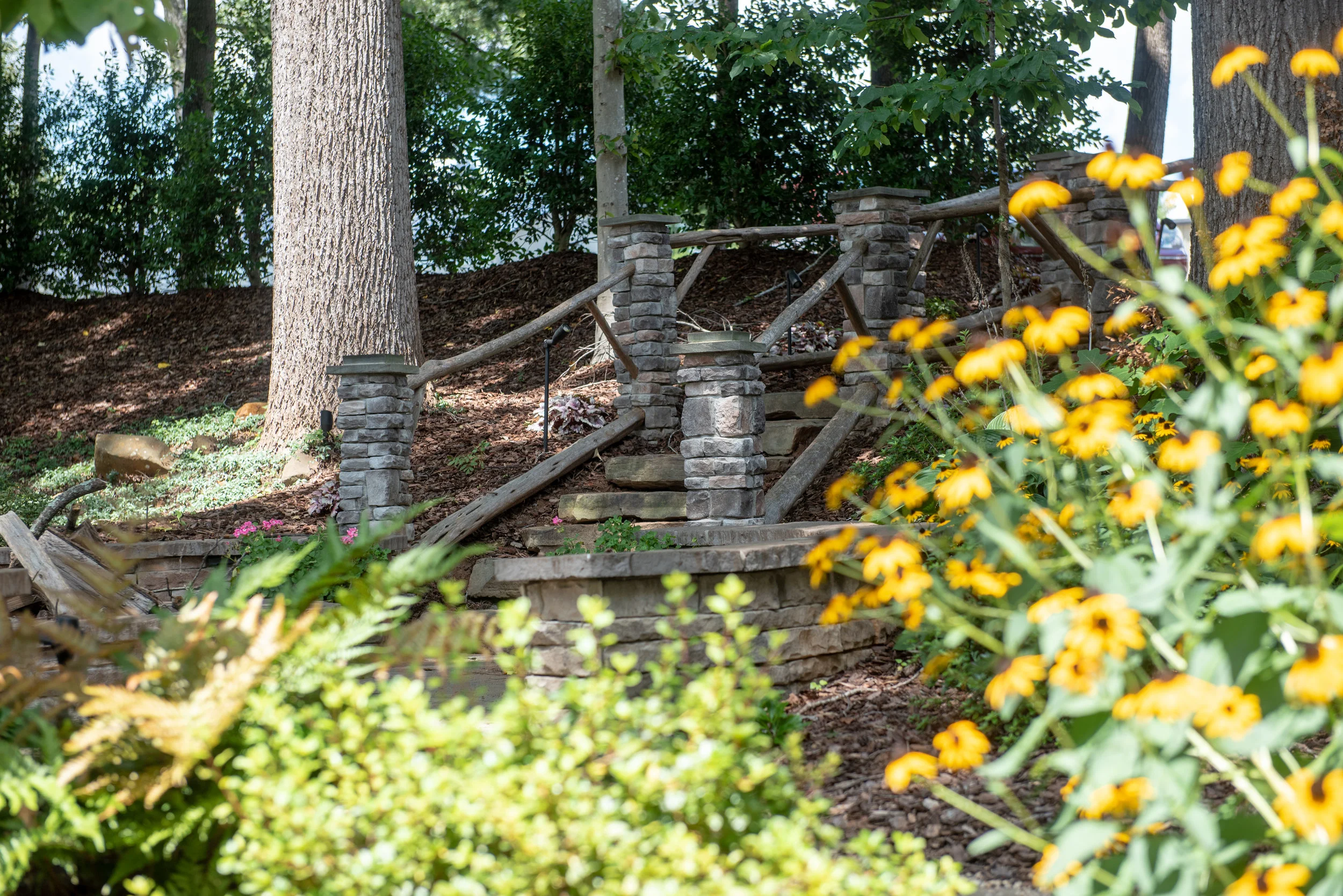 Legacy Saddle Breds - Yasmin Leonard Photography-30.jpg