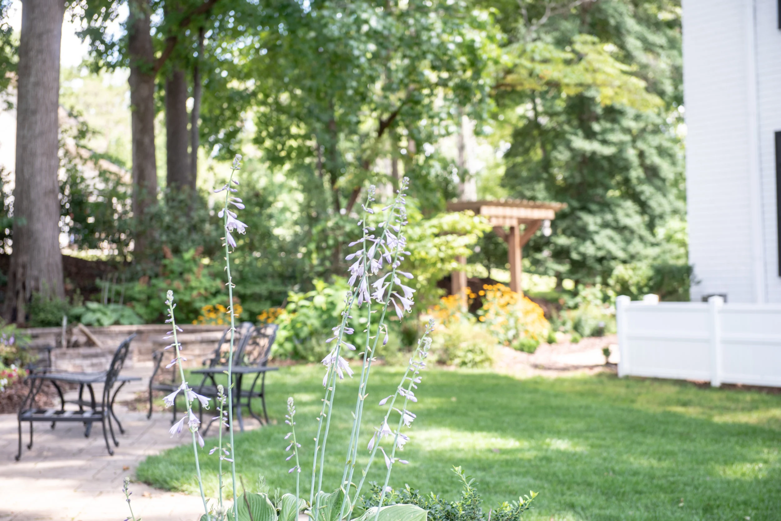 Legacy Saddle Breds - Yasmin Leonard Photography-33.jpg