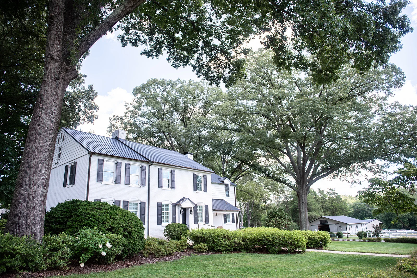 Legacy Saddle Breds - Yasmin Leonard Photography-34.jpg