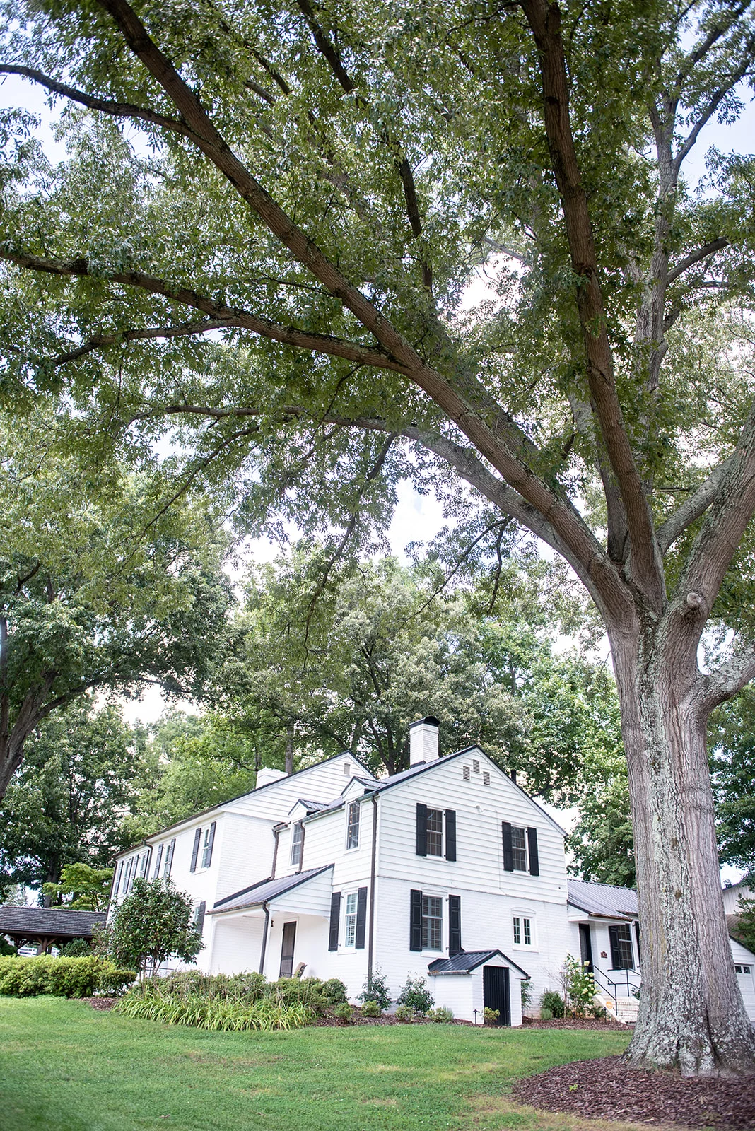 Legacy Saddle Breds - Yasmin Leonard Photography-36.jpg