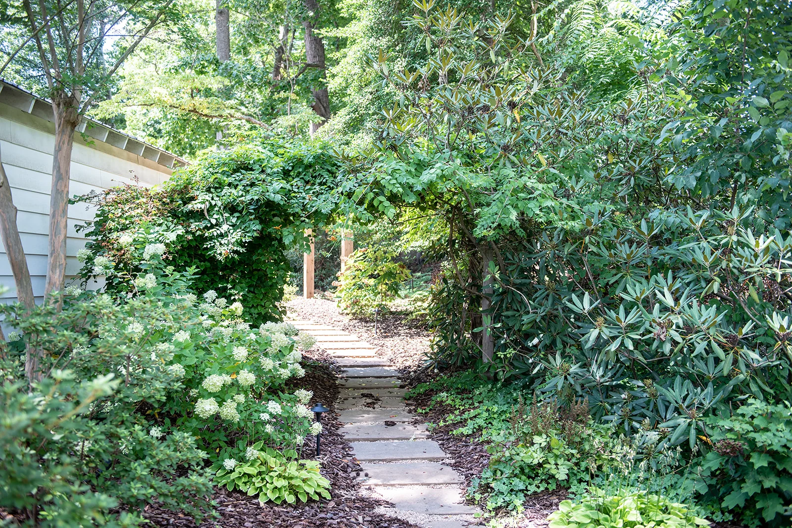 Legacy Saddle Breds - Yasmin Leonard Photography-38.jpg