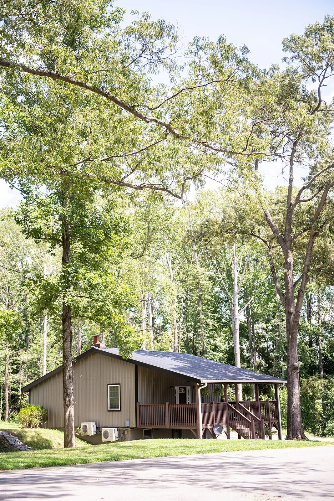 Legacy Saddle Breds - Yasmin Leonard Photography-37.jpg