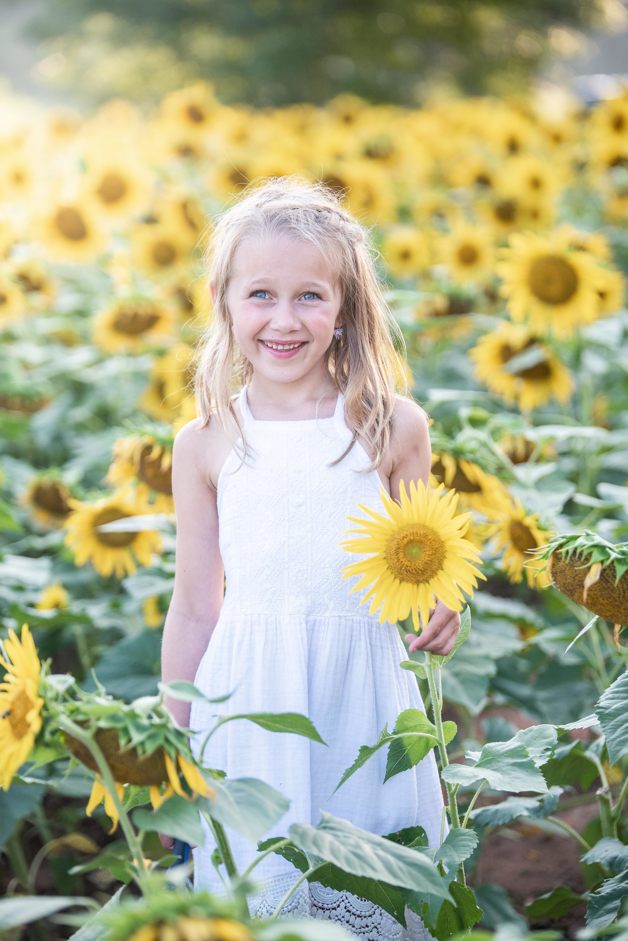 Dogwood Farm - Sunflower Field Photography Session - Sunflower Family Portraits - Fall Family Portraits - Summer Family Portraits - NC Photographer - NC Wedding Photographer - High Point Wedding Photographer -2.jpg